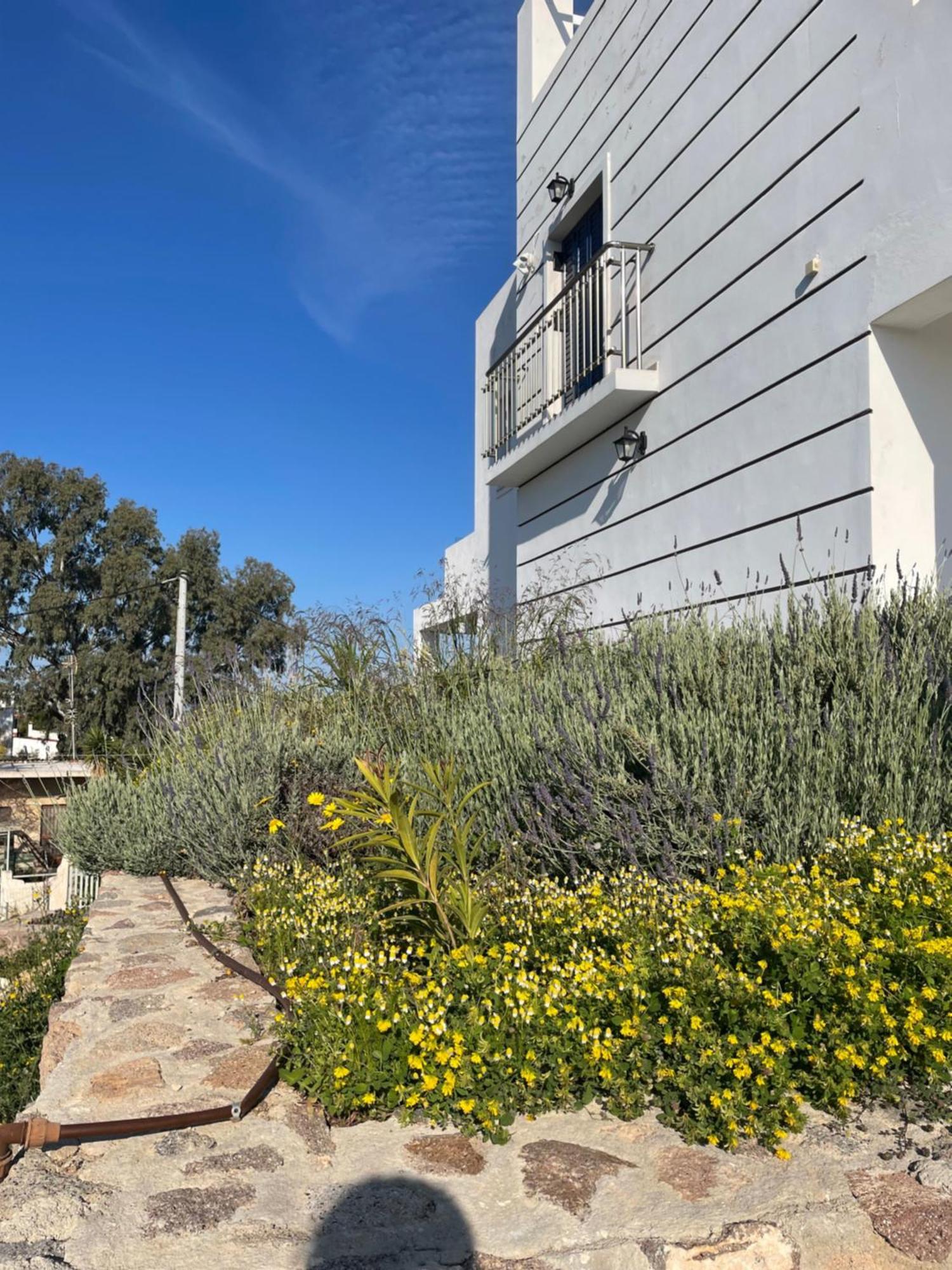 Souvala /Aegina. Excellent Location Luxury Villa. Vathí Exteriör bild